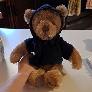 Genuine Burberry PlushTeddy Bear with Blue Hoodie